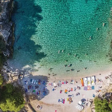 Dvori Marcana